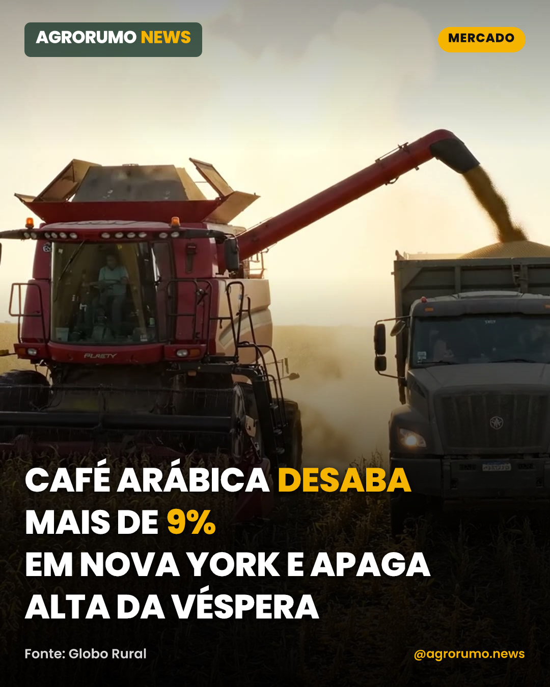Café arábica desaba mais de 9% em Nova York e apaga alta da véspera