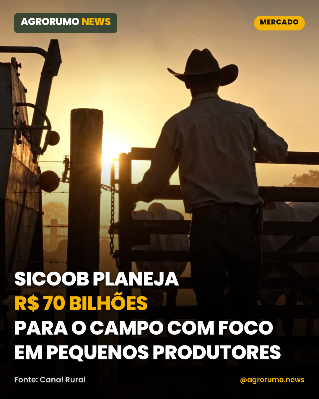 Sicoob planeja R$ 70 bilhões para o campo com foco em pequenos produtores