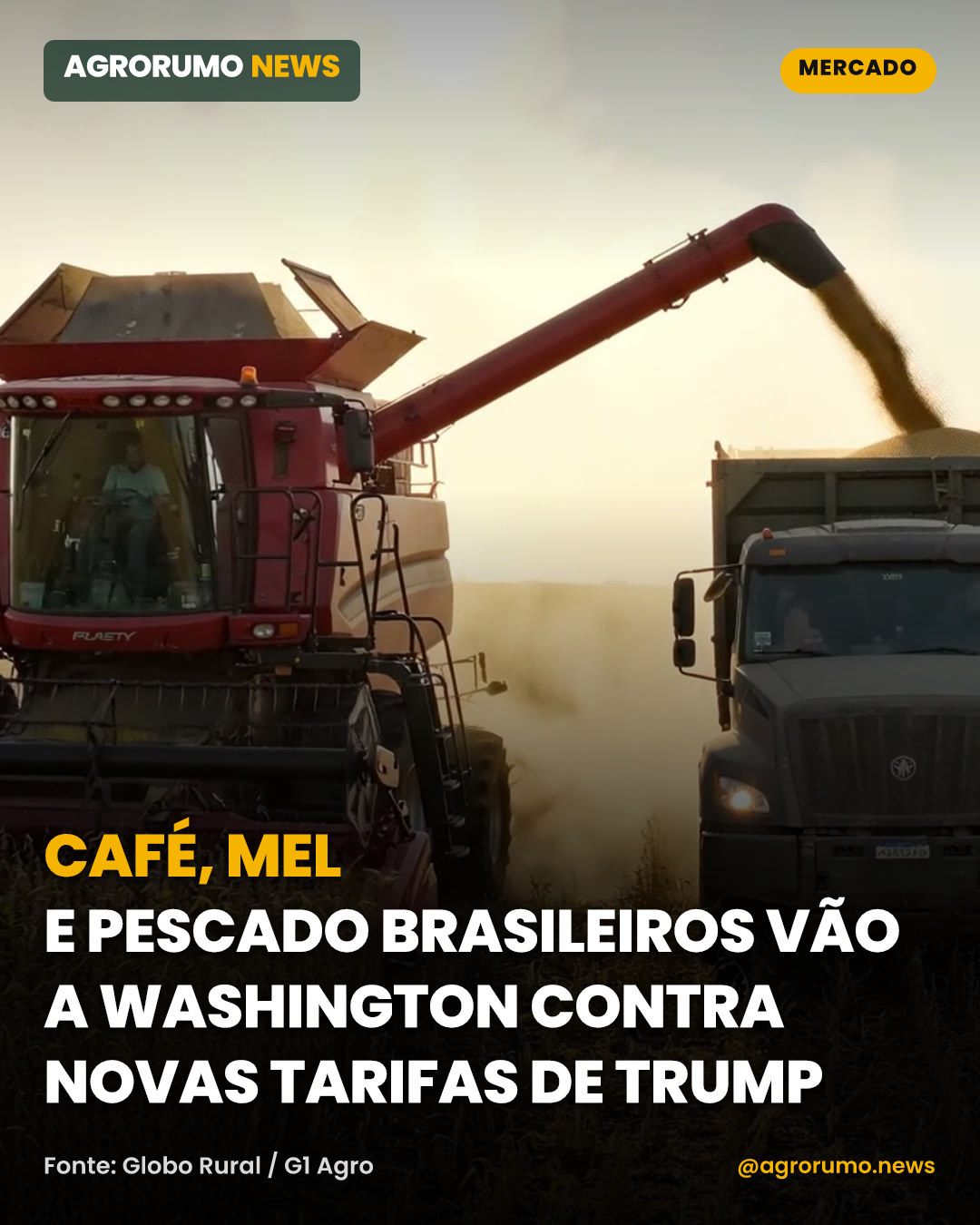 Café, mel e pescado brasileiros vão a Washington contra novas tarifas de Trump